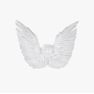 Änglavingar - Ett oöppnat paket med änglavingar inför halloween. Säljer även vita klänningar, skriva för att se bilder❤️kan mötas upp i Göteborg! 