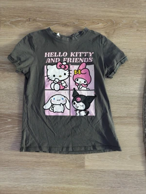 Hello Kitty and Friends t-shirt - Mörkgrå t-shirt med tryck av Hello Kitty och vänner på framsidan i rosa och vitt. Klassisk rund hals och korta ärmar. Storlek xs, måttligt använd men helt ren och inga hål, tvättad. 