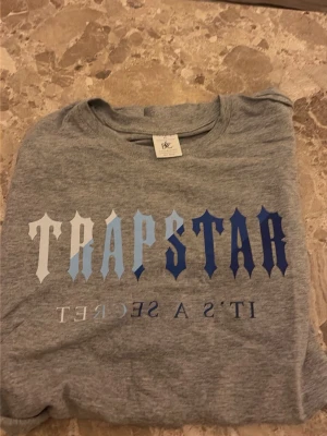 Grå Trapstar t-shirt från B&C - Snygg grå t-shirt från B&C med stort Trapstar-tryck i olika blå nyanser och vitt på bröstet. Klassisk rund hals och korta ärmar. Tillverkad i mjuk bomull som känns skön mot huden. Perfekt för en avslappnad streetwear-look.