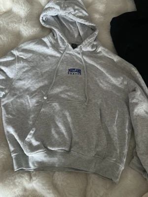 Grå hoodie  - Säljer en ljusgrå hoodie med huva använd få gånger 