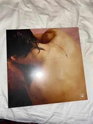Harry Styles Vinylskiva - Säljer denna oöppnade Harry Styles vinylskiva då jag fick dubbletter, så har alltså redan en och behöver helt enkelt inte två :) ordinarie pris 309kr