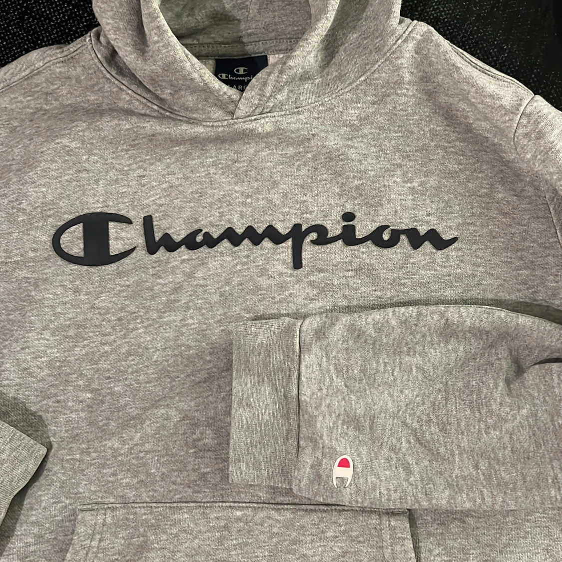 Champion hoodie