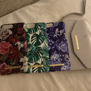 Skal - Säljer mina gamla skal. Alla skal för 110🫶🏼