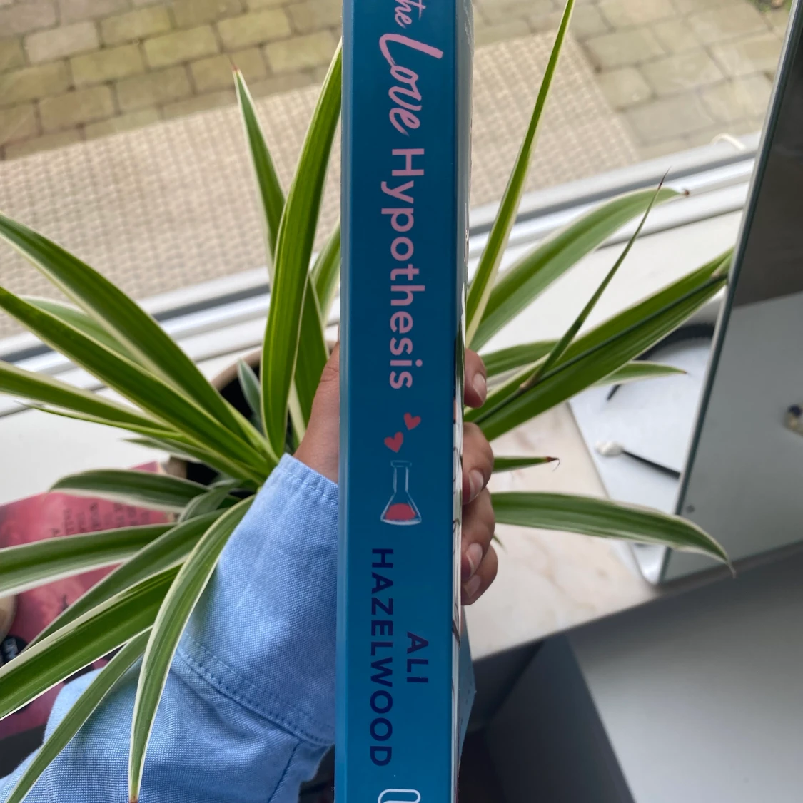 the love hypothesis bok - 90