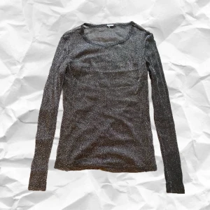 Genomskinlig tröja  - säljer denna genomskinliga glittriga tröja som jag aldrig använder. man kan stylea den hur man vill. vet ej vart den är från. passar s-XL skulle jag säga. ( priset ink inte frakten ) hör av dig vid intresse! 