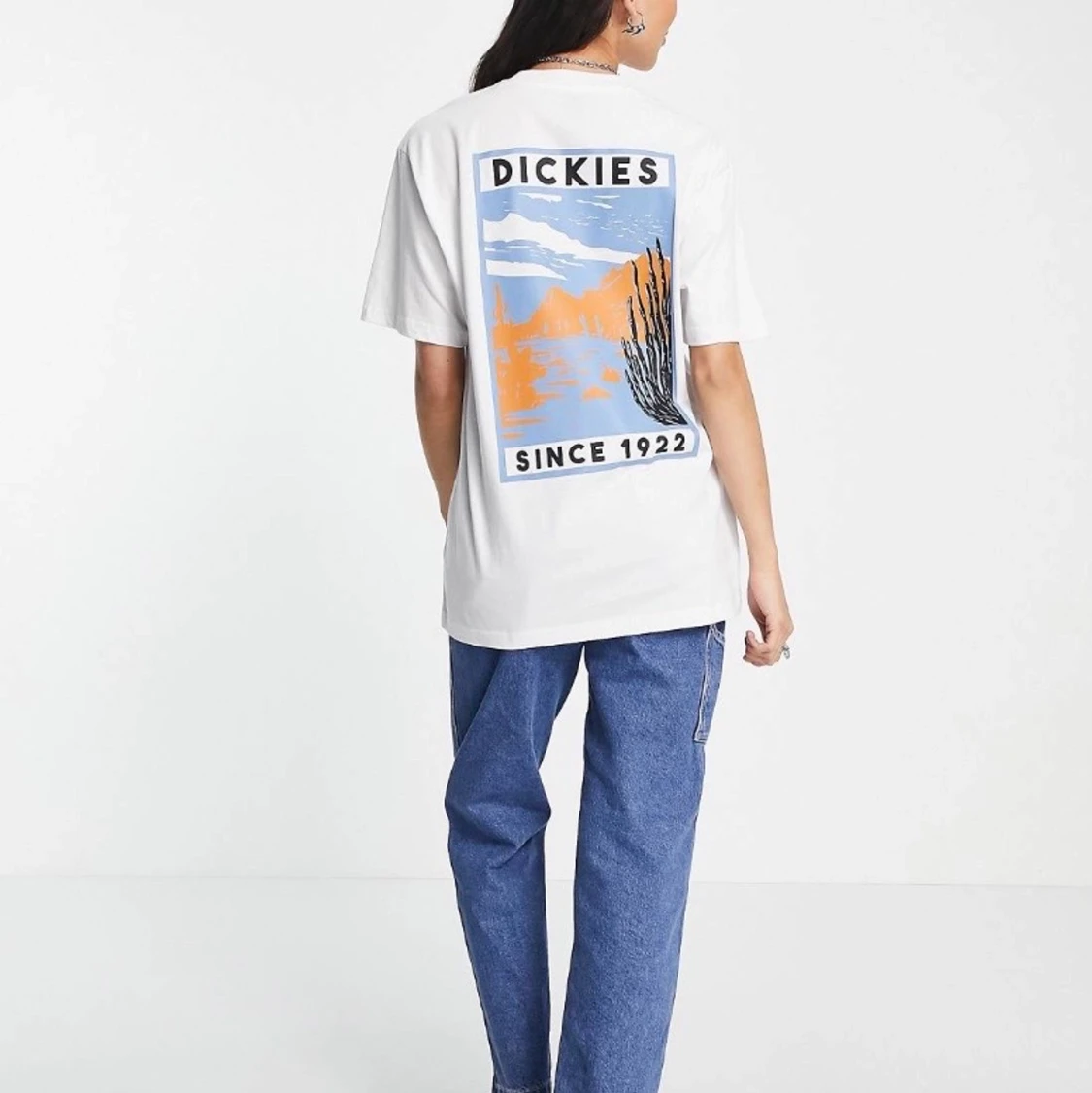 Dickies T-shirt, flera storlekar. - 91