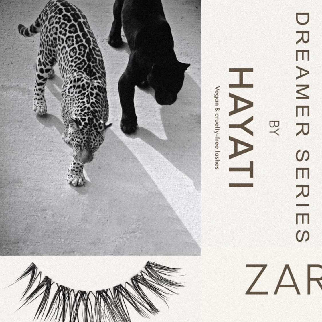 HAYATAI Lashes - kommer snart