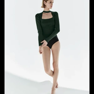 Stickad topp med choker från Zara - Använd 1 gång, snygg slutsåld tröja som är använd en gång. Storleken är S