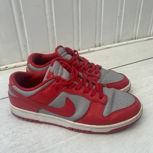 Nike dunks  - Använda men inte slitna Nike dunks, något creasade men annars i fint skick. Nypris ca 1700. Har ingen kartong 