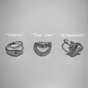 Silverring -  Ringar i äkta 925 sterling silver. Ringarnas designs är djurinspirerad och designens syfte är att representera ett djur eller en grupp av djur som är i behov av omgående hjälp. 5% av den totala vinsten går till Djurens Rätt. Ringarna är justerbara.