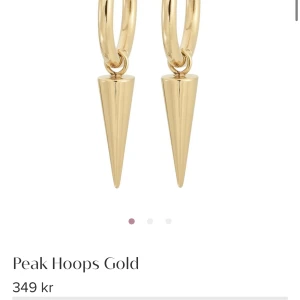 Edblad örhängen  - Peak hoops gold, Edblad örhängen, helt nya!! kan posta o mötas upp i sthlm! Bjuder på frakten vid snabb affär!!❤️👌🏼nypris 349:-