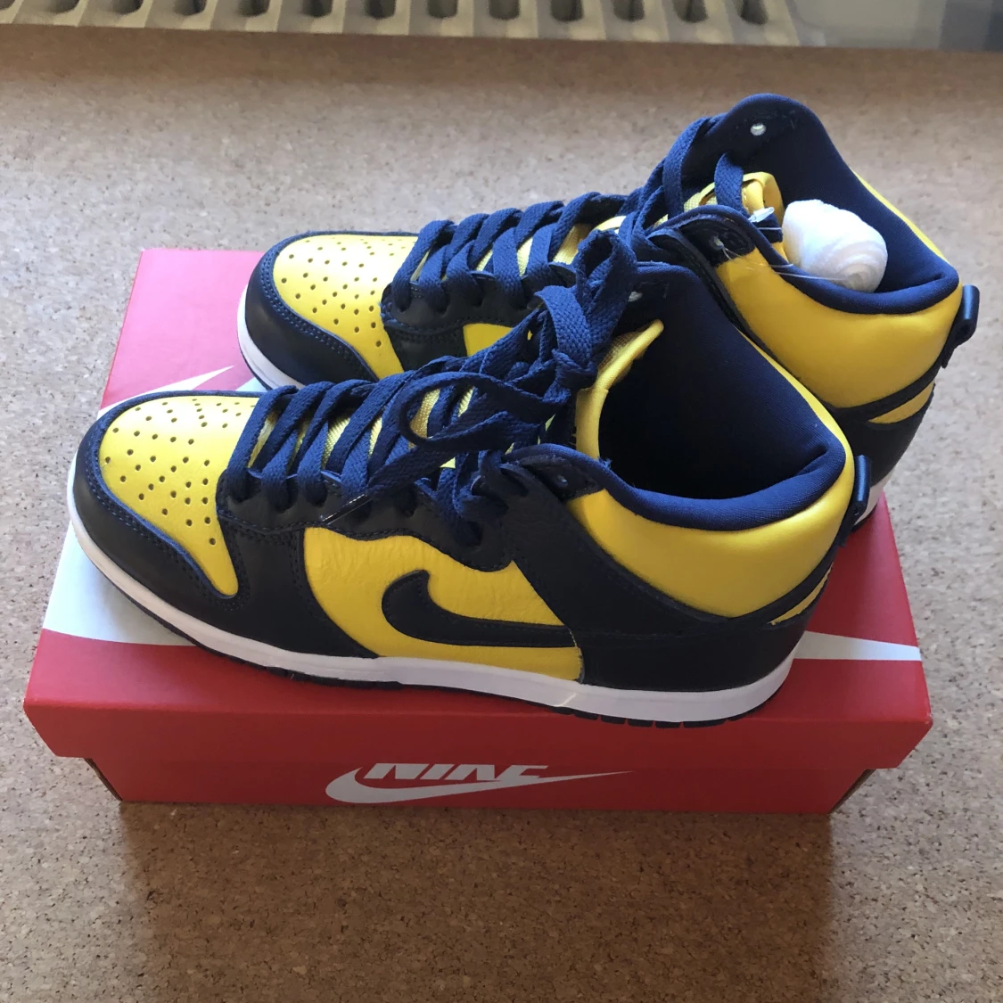 Nike Dunk Michigan - 91