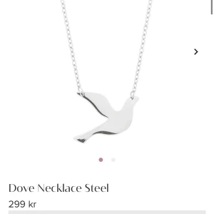 Edblad halsband - Säljer ett halsband från Edblad med deras klassiska duva i silver, halsbandet är i vuxenstorlek o köpt för 299!