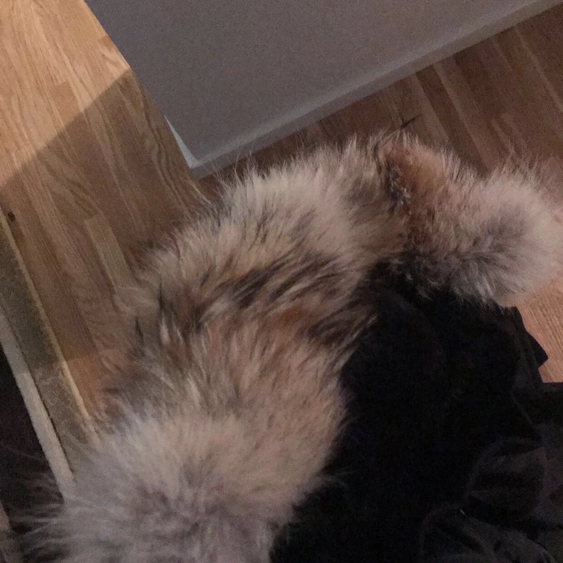 Canada goose dam jacka i strl XS - 90