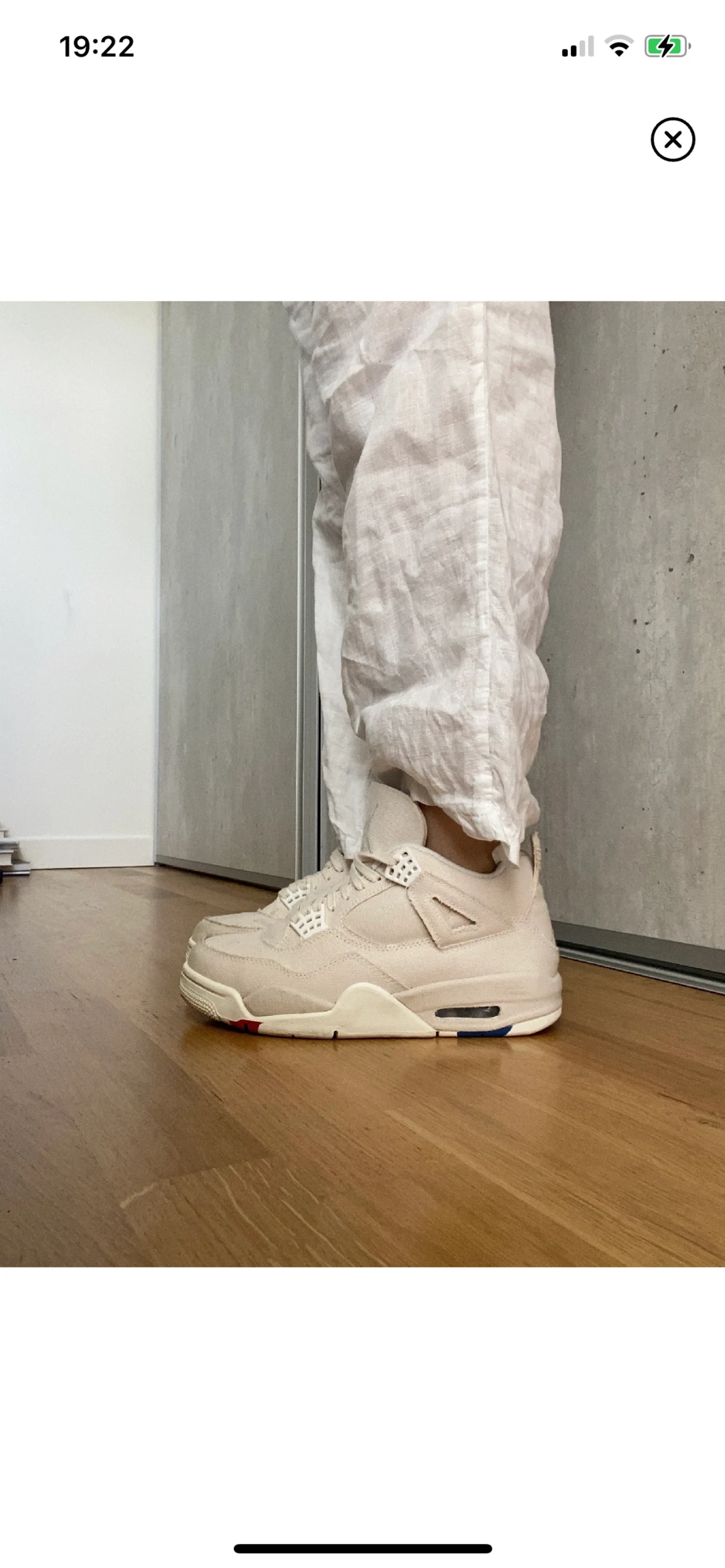 Air Jordan 4  Blank Canvas