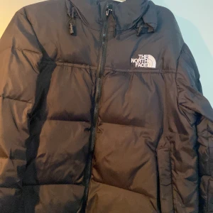 The north face vinterjacka st L  - Bara använd 1 vinter väldigt fin vinter jacka st L 