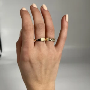 Ringar  - Rostfrittstål.