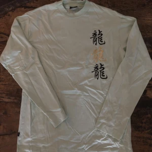 Sweet sktbs longsleeve - Mintgröna longsleeve från sweet sktbs. Aldrig använd/ nyskick. Stl M. Unisex.