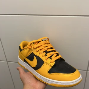 Dunks goldenrod - Hej jag säljer dunks goldenrod