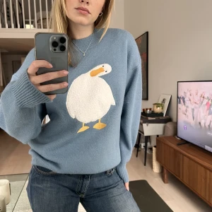 Aelfric Eden duck sweater - Säljer min aelfric eden ”how are you” duck sweater då den inte kommer till användning. Superfint skick, stl S och true to size jag är S-M 168cm  skulle tro att den sitter finare på någon som är XS🦆💙