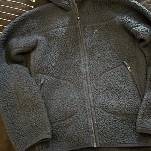 2st Haglöfs hoddy  - Säljer 2st Haglöfs hoddy Junior 164, mina tvillingar som växt ur dem! Dessa är gjorda för att använda och klarar många år till! Dem är i två olika färger som ni ser på bild.   Hämtas med fördel på Rosenlund/Jönköping  Eller skickas efter full betalning.