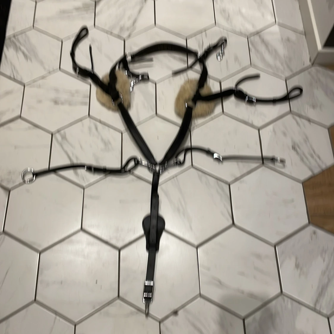 Brösta med martingals remmar