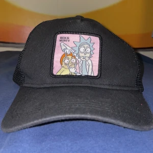 Keps - En Rick and morty keps använd 2-3 gånger köpt för 150 kr (kommer ej ihåg vart) har bara luggit och skrotat så säljer den! 