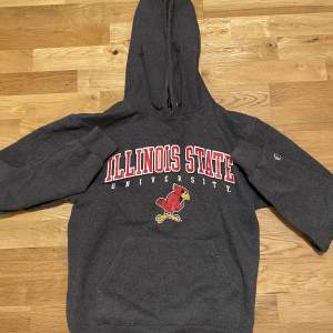 Champions college hoodie i storlek xs, kom privat för fler bilder, säljs pågrund av att den är för liten