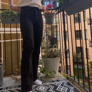 Svarta weekday jeans - Svarta jeans från weekday storlek W 24 L 32 i modellen rowe. Knappt använda då jag tycker att dom sitter lite tight på mig