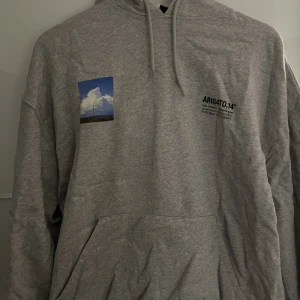 Axel Arigato hoodie - Hoodie från Axel arigato, aldrig använd  Storlek S