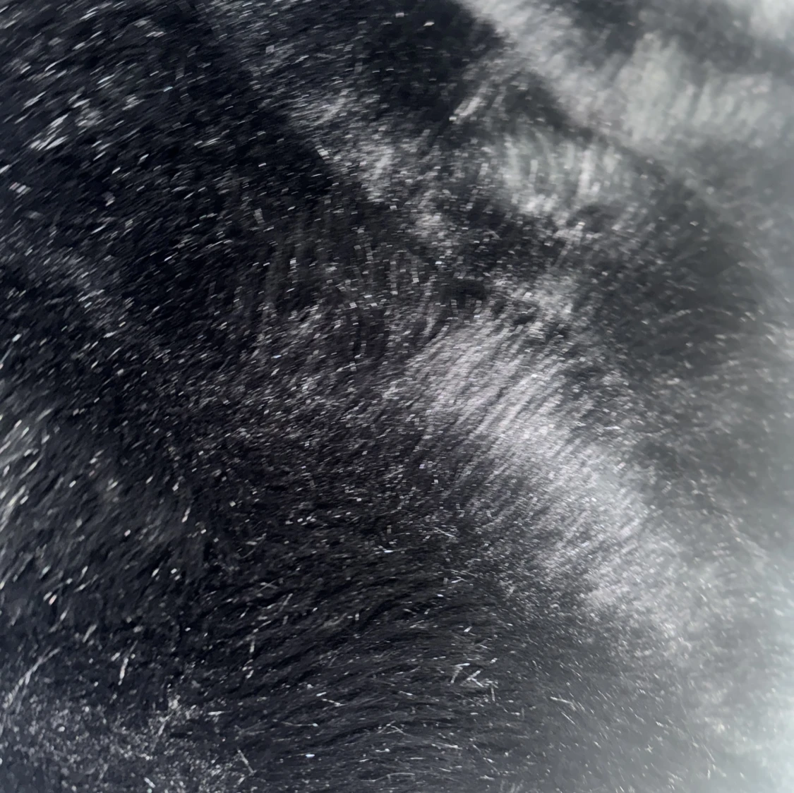 Svart pälsväst - 93