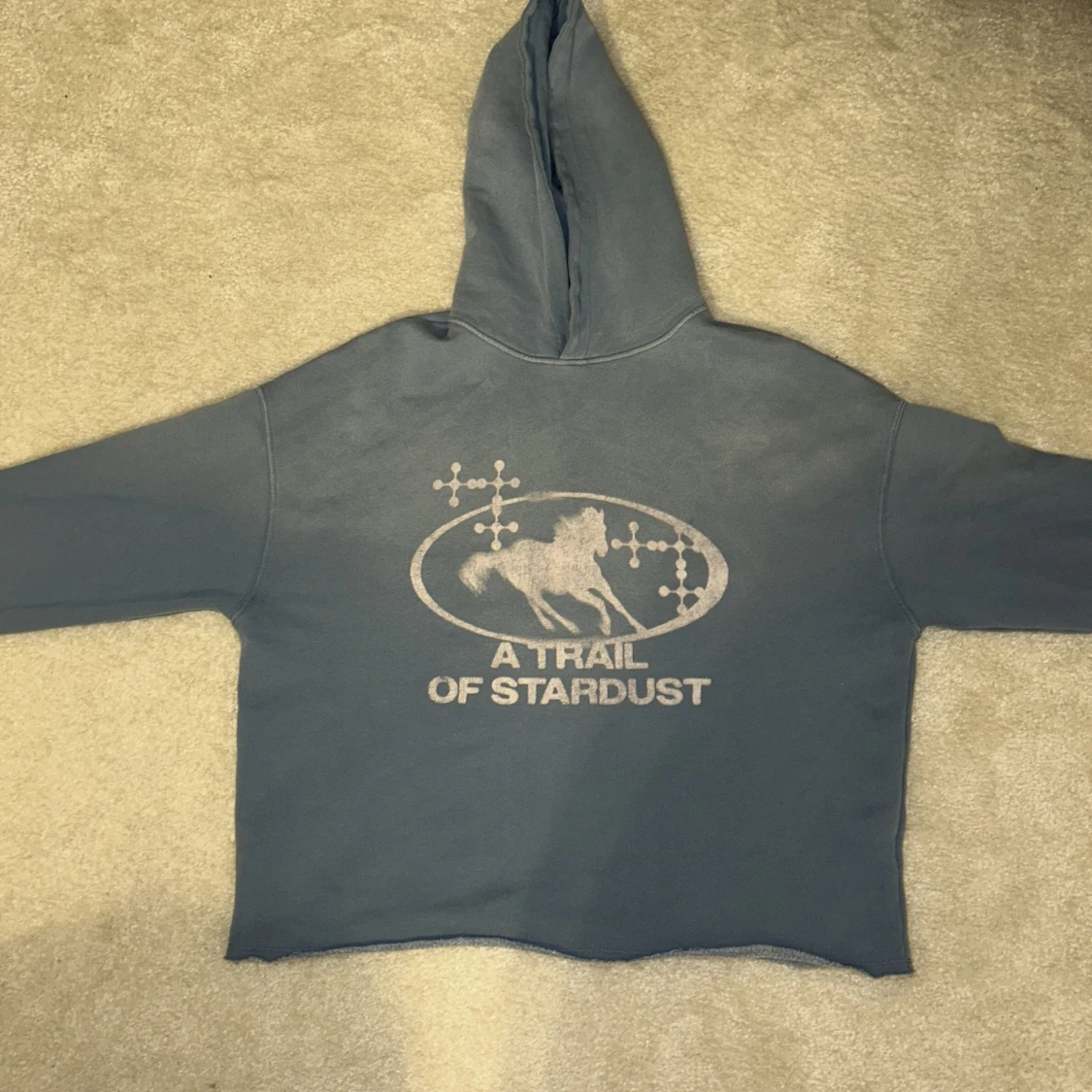 Blå hoodie med tryck