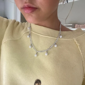 Silver halsband  - Har gjort det själv!!