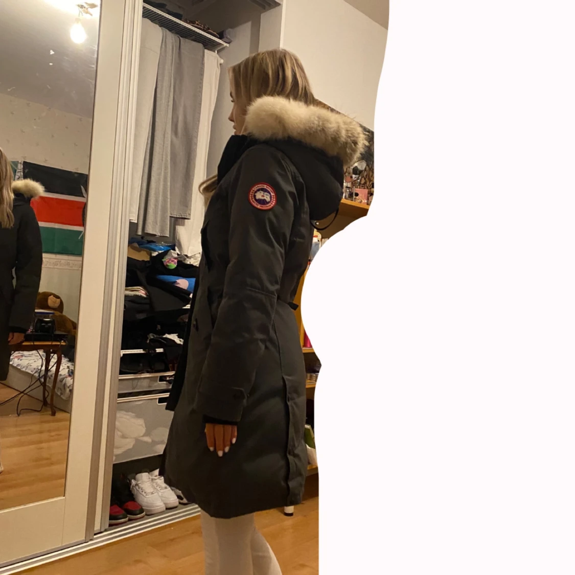 Canada goose - 93