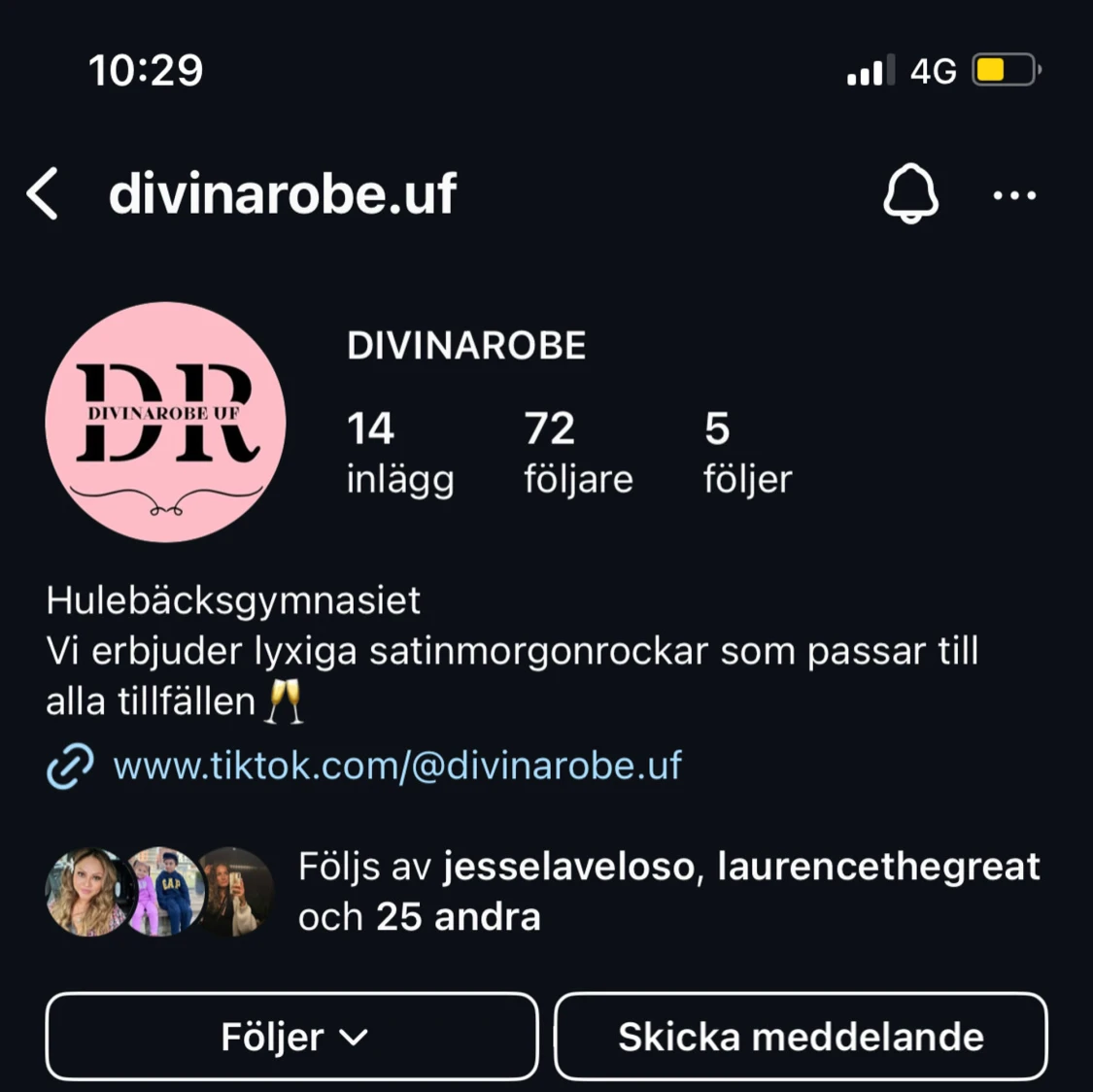 Satinmorgonrock  - 2