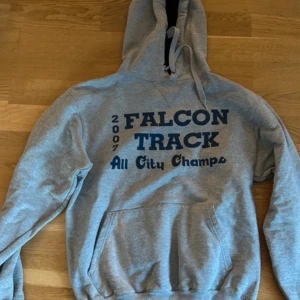 Grå hoodie med tryck - Säljer en grå hoodie med texten 'FALCON TRACK All City Champs 2007' på.