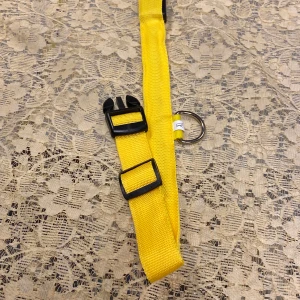 LED Hund Halsband  - Stlk L    2.50 cm bredd, 56.00 cm lång.           2st batteri 2032 ingår.          95kr/st 