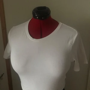 Vit t-shirt i bomull - Säljer en klassisk vit t-shirt i bomull. Den har en normal passform och korta ärmar, perfekt för vardagsbruk eller sommarens varma dagar. Enkel och stilren design som passar till det mesta. 🏖️