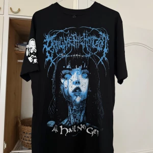 BMTH merch graphic tee  - Bring me the horizons officiella merch! Storlek S, men oversized i storlek så skulle passa M och L också beroende på vilken passsform som önskas. Oanvänd!