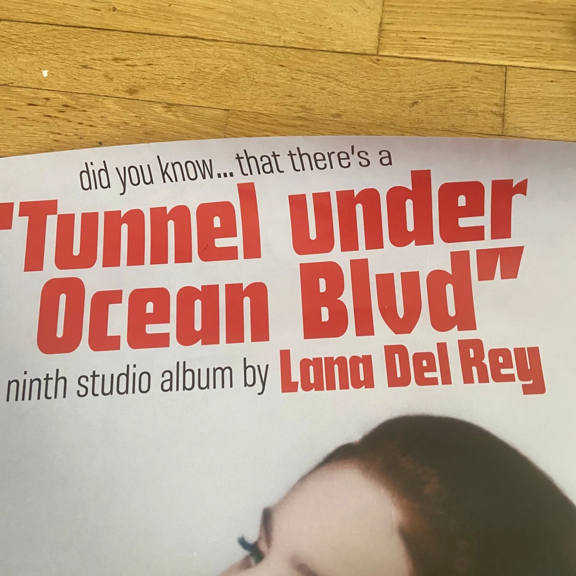 Lana del rey poster - 90