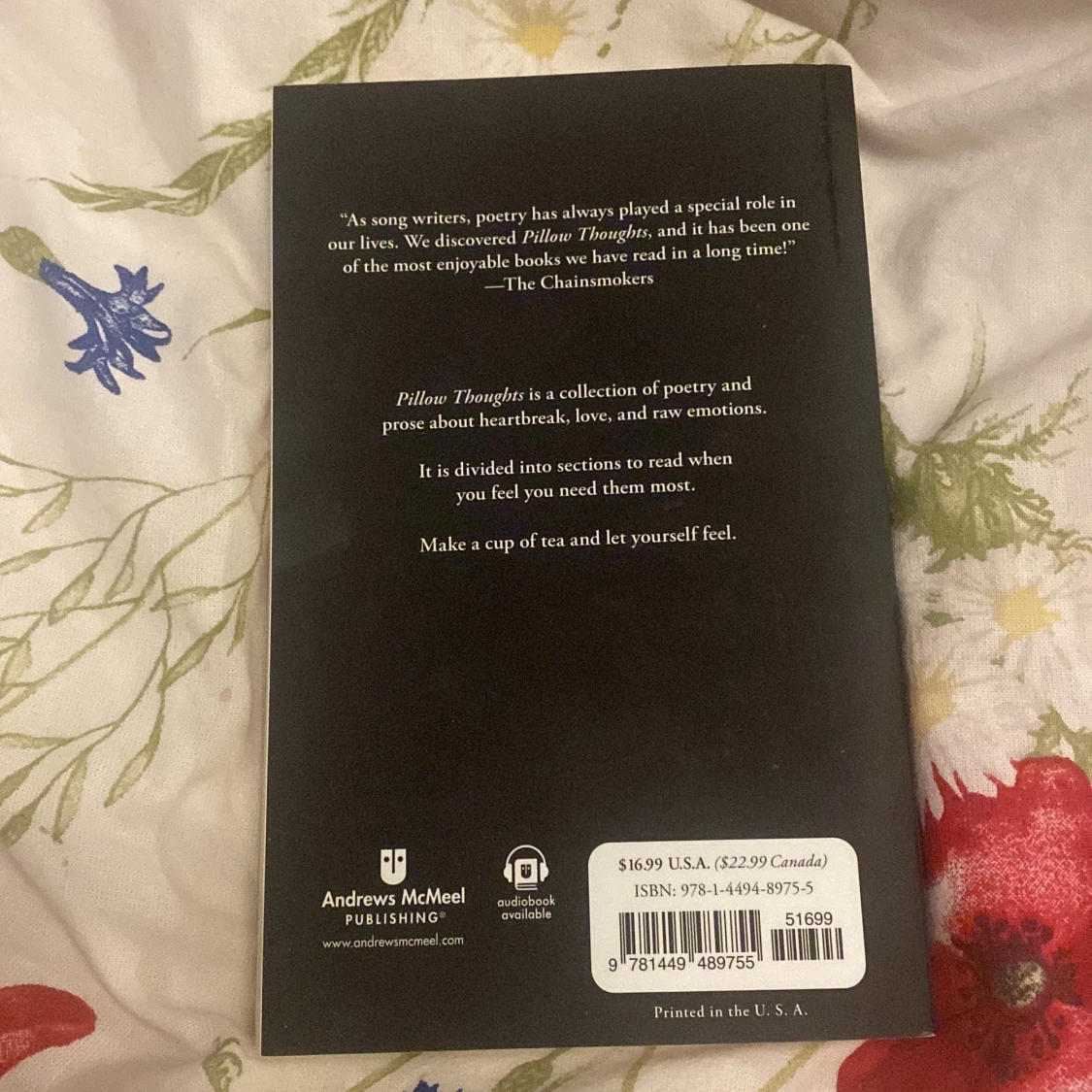 pillow thoughts book/poetry - 37