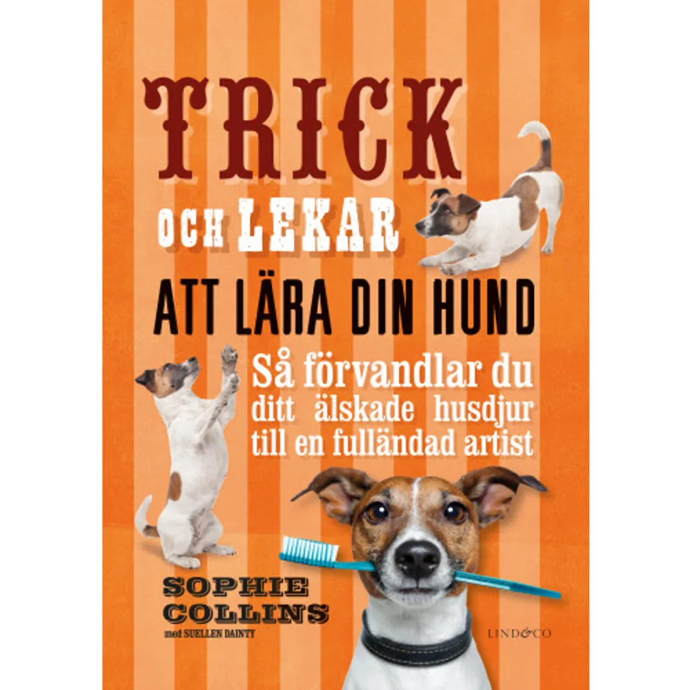 Gör lekstunderna med din hund ännu roligare med en mängd säkra, påhittiga trick och lekar som är enkla att lära ut. Oavsett ras, ålder och temperament kommer du hitta något för just din hund. Här finns allt från enkla trick till utmanande konster. Engagera din hund med aktiviteter den uppskattar, och imponera på familj och vänner dessutom! .Roliga alternativ som passar alla hundar, oavsett ras och ålder.Massor av idéer för att göra lekstunderna ännu roligare.Steg-för-steg-bilder som visar trick och lekar med enkla instruktioner.Positiva träningsmetoder som hjälper dig att stärka banden till din hund    Format Inbunden   Omfång 192 sidor   Språk Svenska   Förlag Lind & Co   Utgivningsdatum 2023-07-20   Medverkande Suellen Dainty   Medverkande Monica Andersson   ISBN 9789180530330  . Böcker.