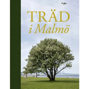 Träd i Malmö (inbunden) - Malmö upplevs som en grön stad trots att det är ovanligt tätt mellan husen. Inte minst bidrar stadens alla träd till detta inbjudande intryck. Träden återfinns i våra stora parker, på de många torgen, som vårdträd i trånga stadsrum och efter gator och cykelvägar. Var helst Malmöborna vistas är träden deras följeslagare. Karakteristiskt i Malmö är att nästan alla träd är planterade. Det har legat en medveten tanke och handling bakom att ett träd planteras och får växa till. Skälen varierar och är många. De förskönar stadsrummen. De har fascinerande egenskaper, skir blomning eller vackra gren- och bladverk. De skänker liv och skugga mellan höga byggnader och förbättrar klimatet. Både mycket vanliga och ovanliga, exotiska träd finns i Malmö. I ”Träd i Malmö” skildras 163 olika träd och trädgrupper. Du kan läsa om Malmöträdens ”tio i topp” och de träd som står för vårens blommande eufori. Här presenteras de klippta arkaderna och de unika vårdträden. Här beskrivs träden med egna berättelser och de som kommer från världens alla hörn. Till sist och inte minst – de stora gamla träden som levt ett långt och rikt liv.    Format Inbunden   Omfång 240 sidor   Språk Svenska   Förlag Kira förlag   Utgivningsdatum 2018-11-23   Medverkande Patrick Bellan   Medverkande Camilla Anderson   Medverkande Magnus Adolfsson   ISBN 9789187875229  