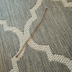 Guldaktigt strass armband - Säljer detta strass armband då det inte kommer till användning mer. 