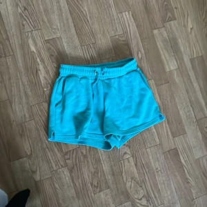 Turkosa shorts med 'New York' tryck - Säljer ett par snygga turkosa shorts med 'New York' tryck på baksidan. De är superbekväma och perfekta för sommaren. Shortsen har en elastisk midja och är gjorda av mjukt material. Perfekta för en avslappnad dag eller träning!