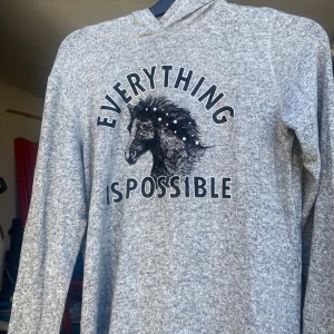 Grå hoodie med hästmotiv från Lindex - Säljer en supermjuk och bekväm grå hoodie från Lindex med texten 'Everything is Possible' och ett coolt hästmotiv. Hoodien har långa ärmar och en mysig huva. Perfekt för chilliga dagar eller när du vill känna dig extra peppad! 🐴✨