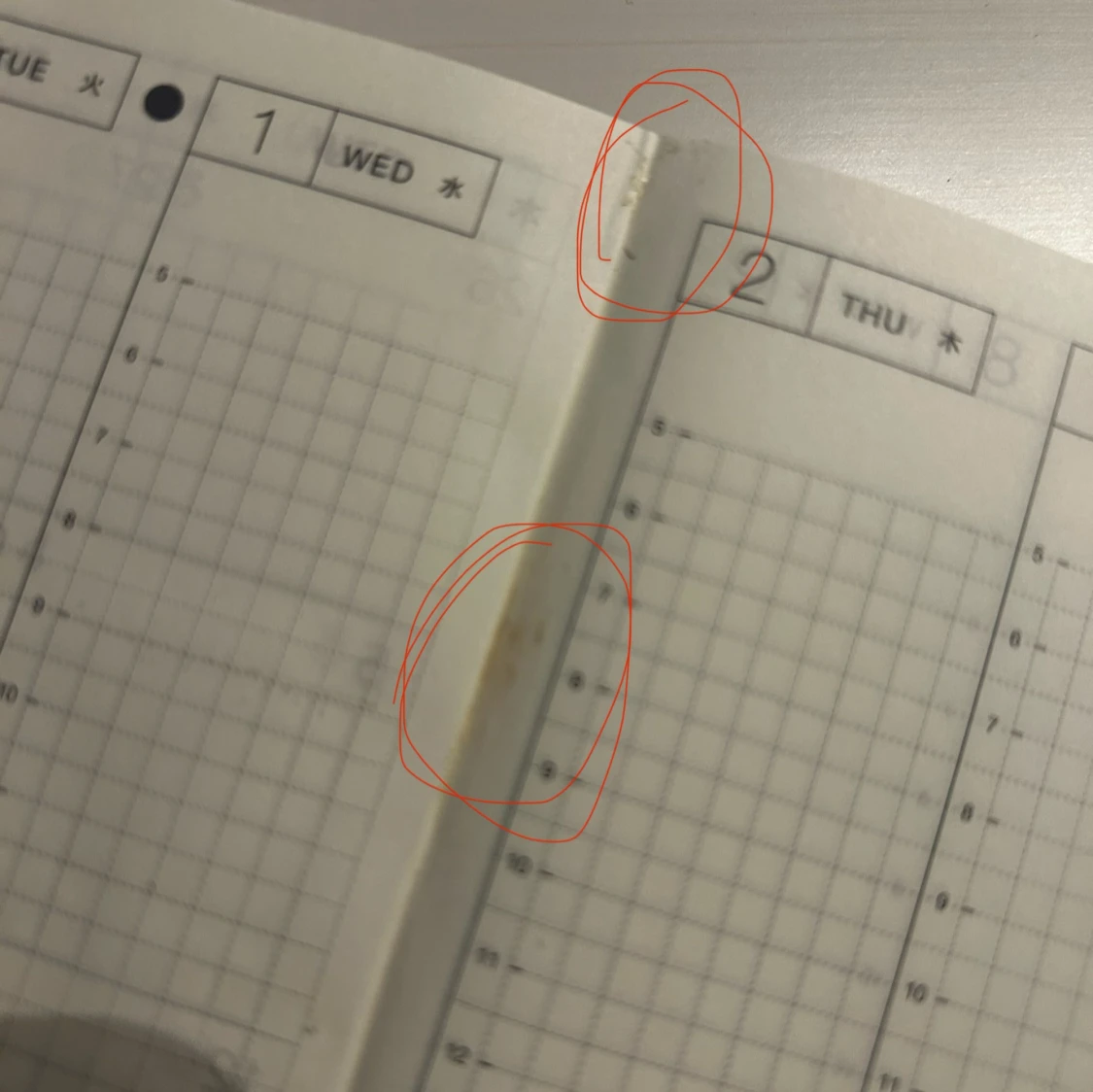 Hobonichi Cousin 2025 - 93