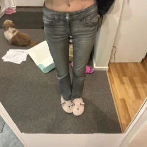 Grå jeans från Gina Tricot - Säljer ett par grå jeans från Gina Tricot. Det är från gina Young storlek 164. Passar för mig som är 165.  Det är bootcut och lågmidjade. Midjan är justerbar. Skriv gärna för frågor 💗
