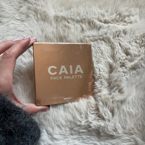 Caia palett  - Väl använd vill bara bli av med den🩷sassy