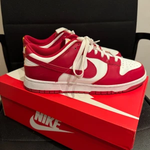 Nike Dunk Low Retro Gym Red - Säljer ett par Nike Dunk Low Retro i röd och vit i storlek 44. Skorna är använda endast ett fåtal gånger och i väldigt bra skick. Det finns även även box och kvitto kvar som medföljer ! 